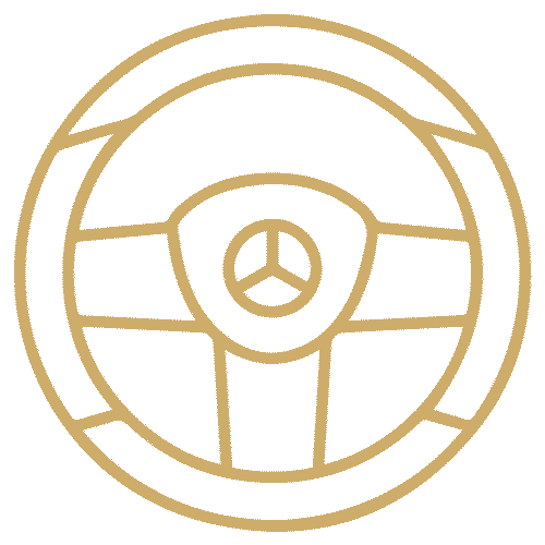 volante-conductor-privado volante-conductor-privado